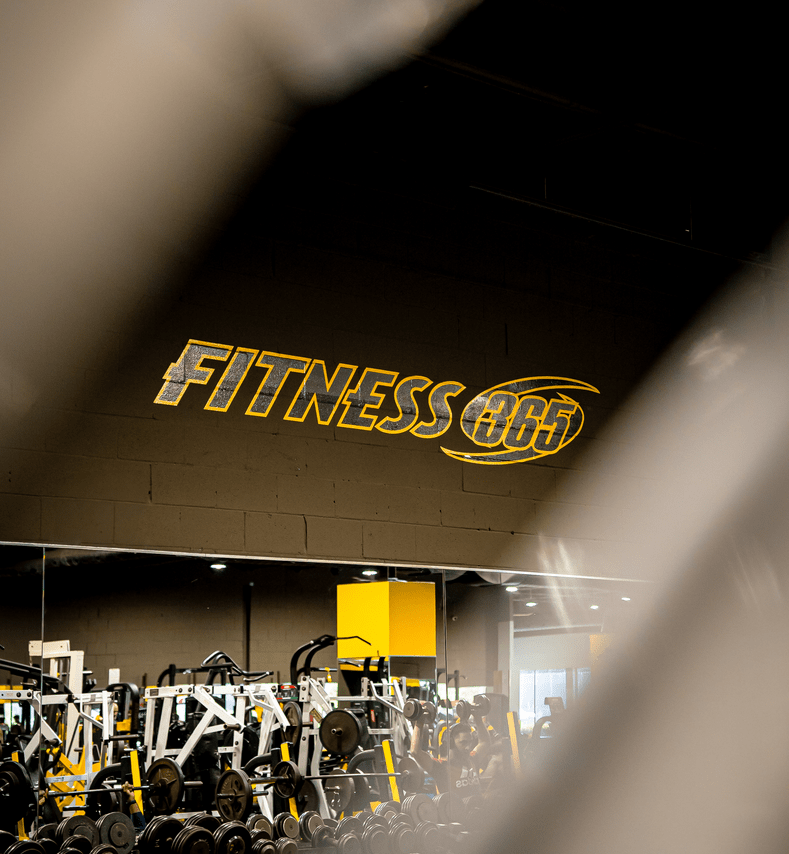 DSC00377-789x1201-b16fecc